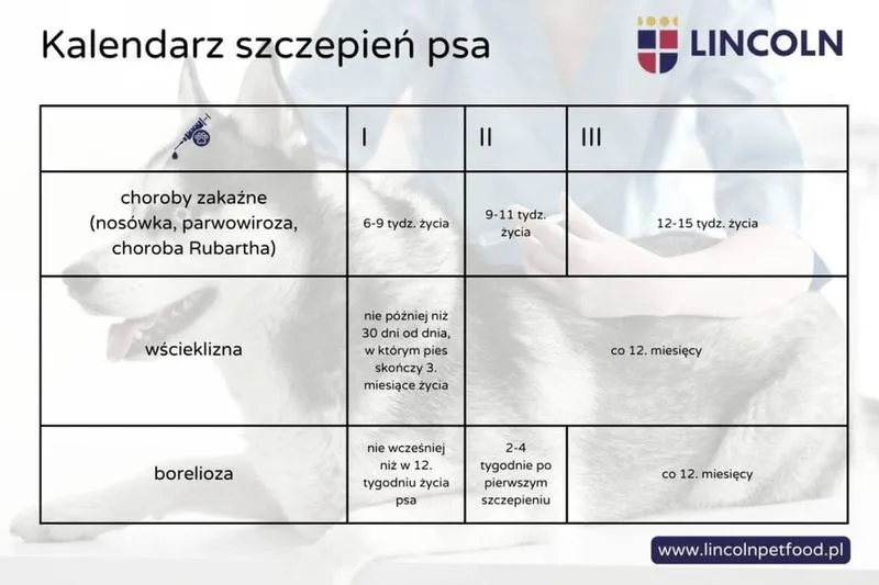 Szczepienia psów