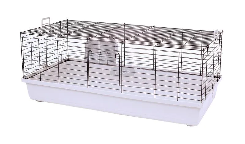 Techniki łapania królika