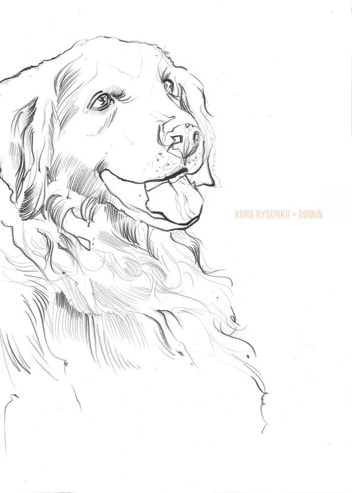 Techniki rysowania zwierząt