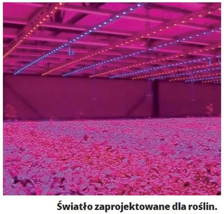 Technologie oświetlenia akwarium