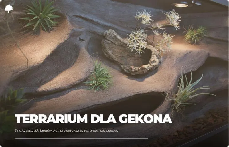 Terrarium dla gekona lamparciego