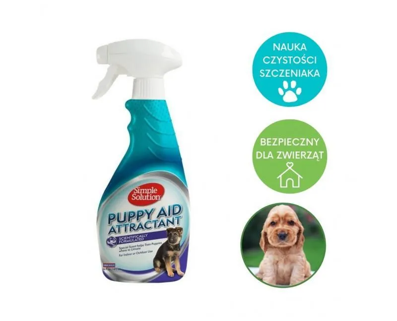 Trening szczeniaka w nowym domu