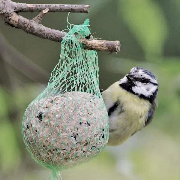 Tworzenie smakołyków z dziećmi