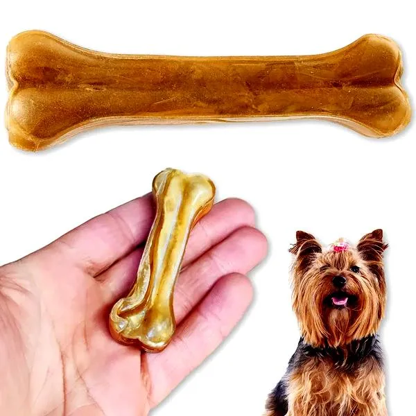 Unikaj podawania psom kości