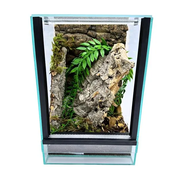 Warunki w terrarium ptasznika