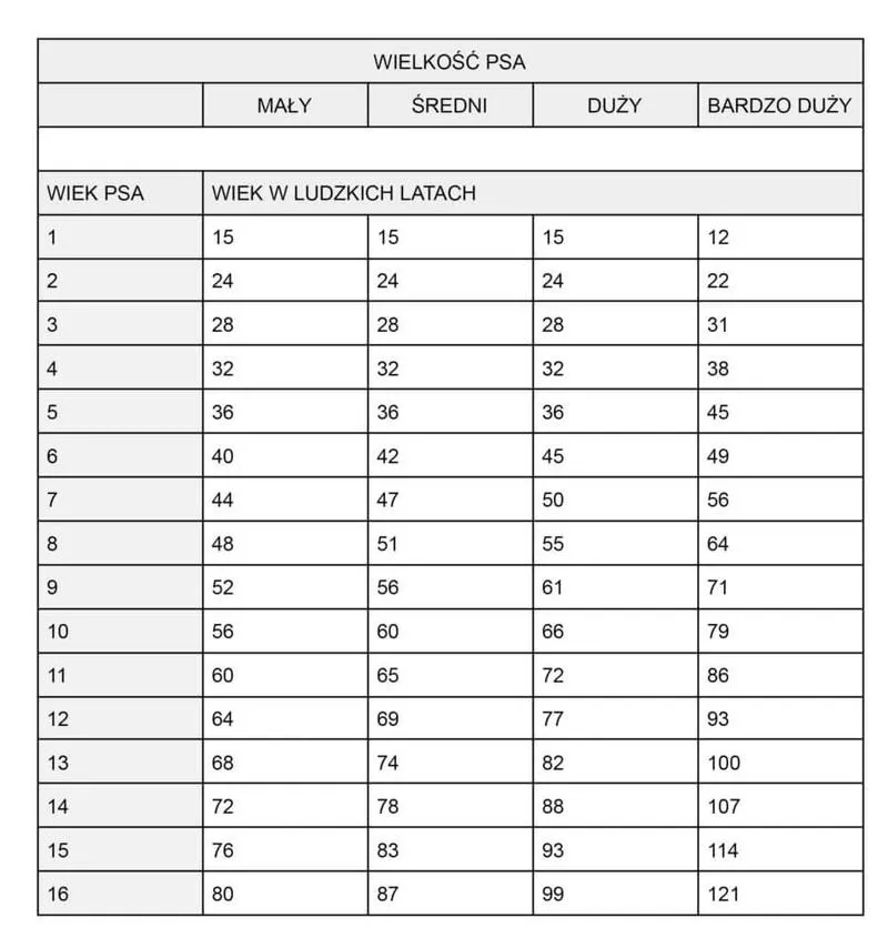 Wiek psa w latach ludzkich