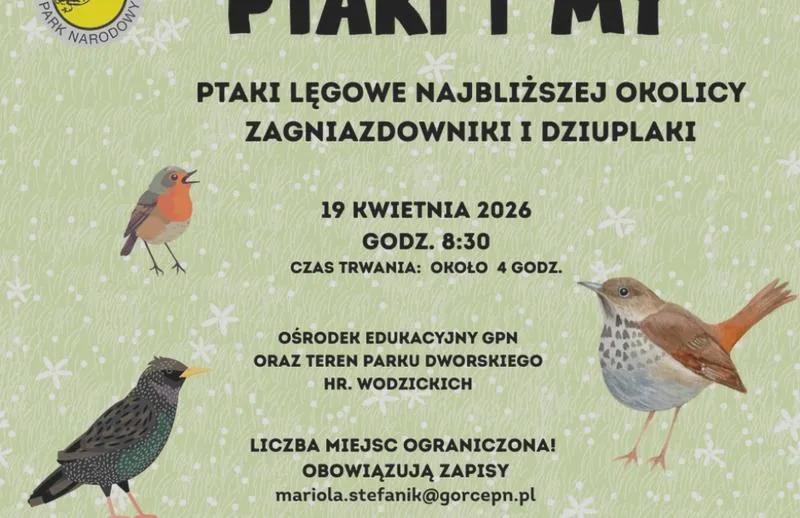 Wiosenne gody ptaków