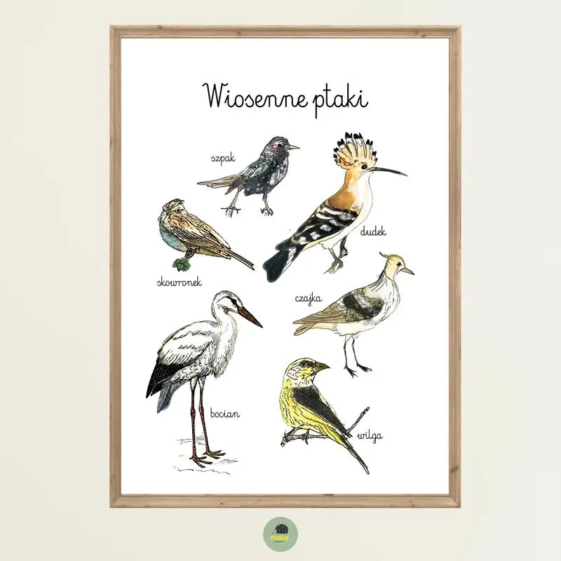 Wiosenne ptaki w Polsce