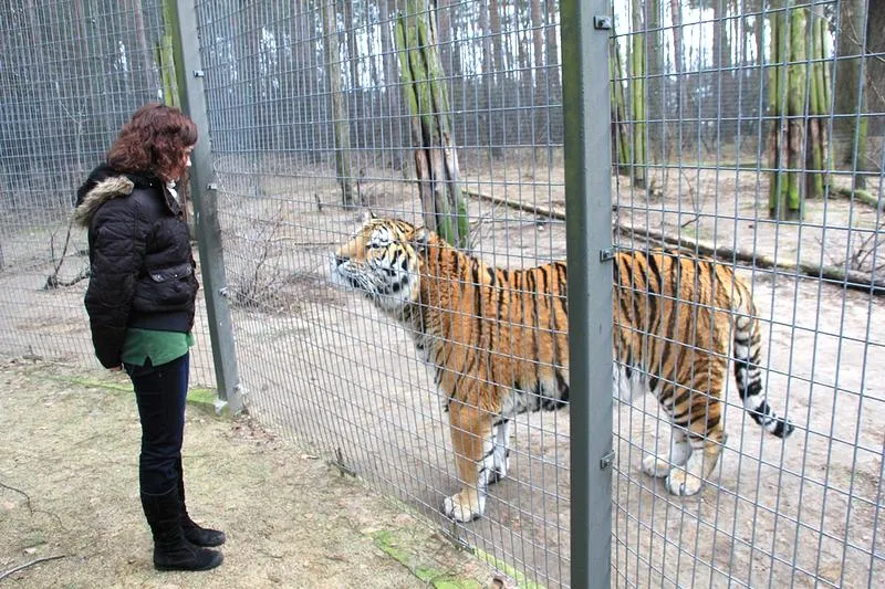 Wizyta w zoo Poznań