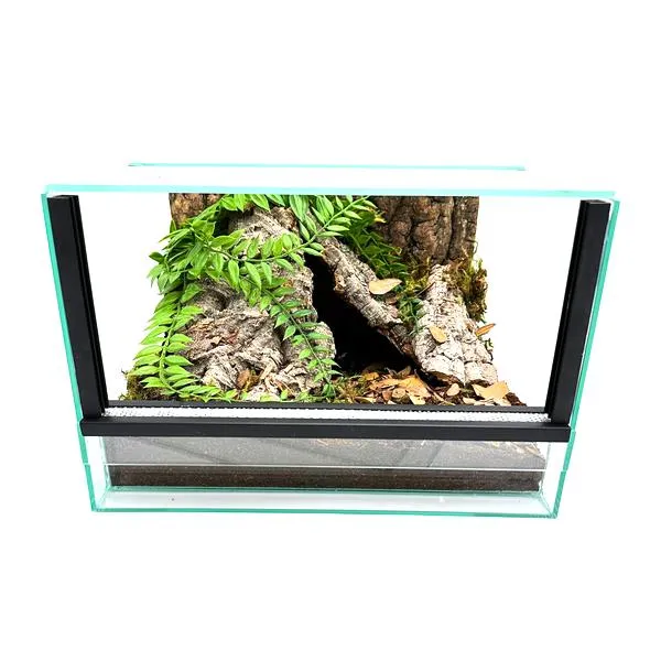 Wnętrze terrarium dla ptasznika