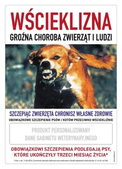 Wścieklizna u psów