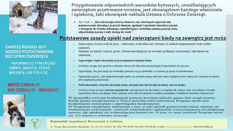 Wsparcie dla zwierząt w schroniskach