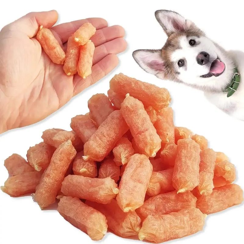 Wspólne życie królika i psa