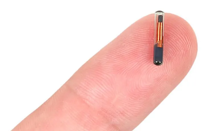 Wybór weterynarza do chipowania