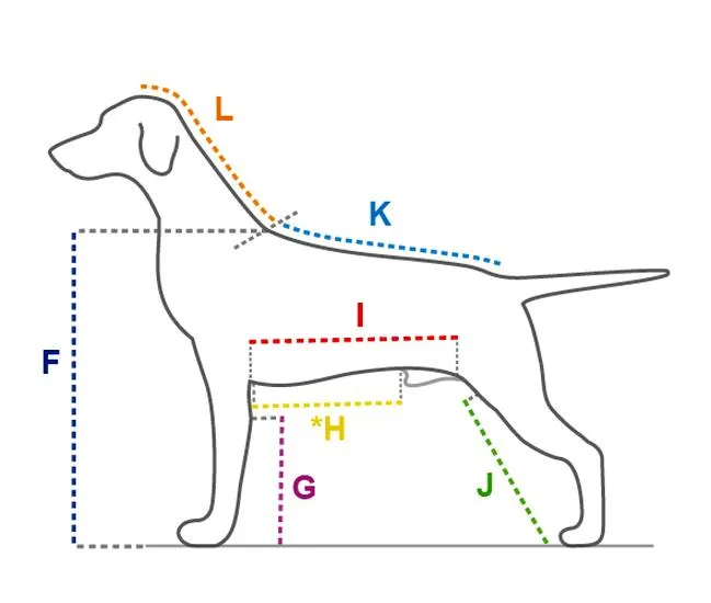 Wysokość psa w kłębie