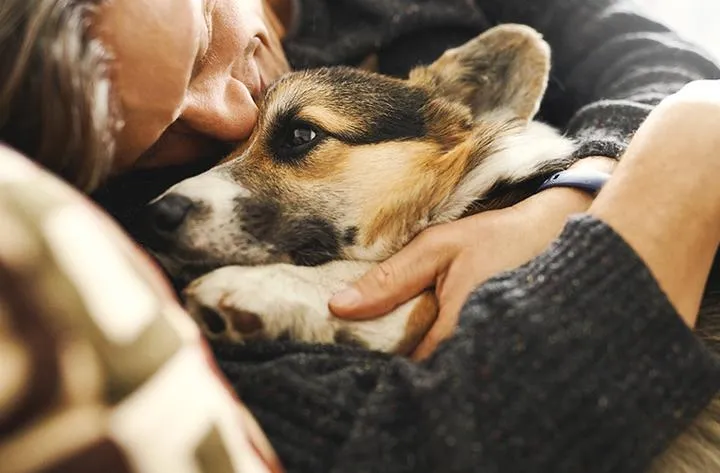 Zabawa i aktywność fizyczna psa