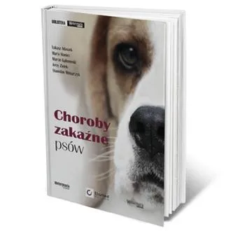 Zagrożenia zdrowotne związane z psami