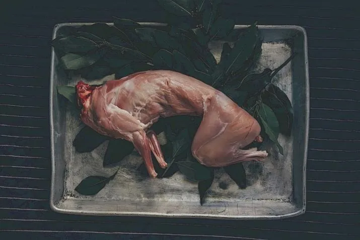 Zdrowe przepisy mięsne