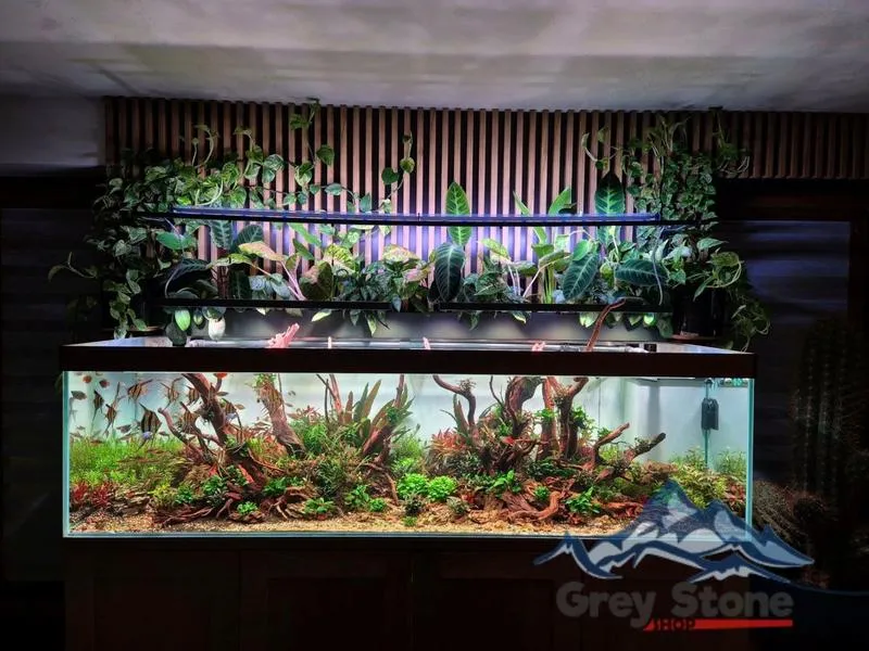 Zdrowie ryb i roślin