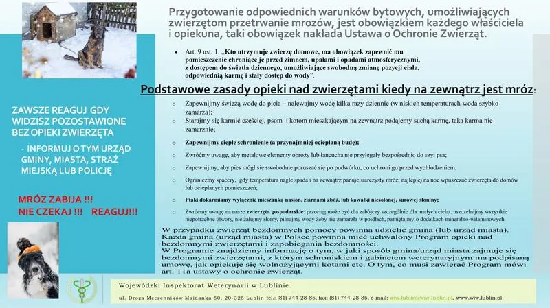 Zdrowie zwierząt w mrozach