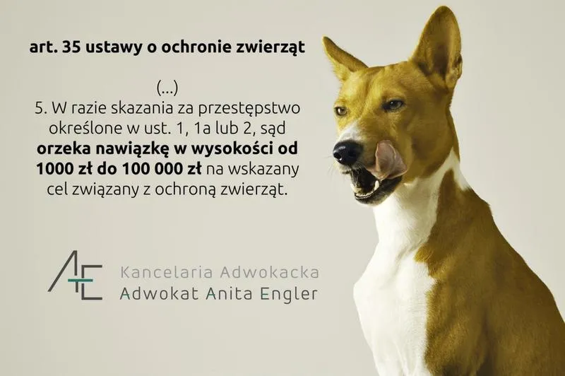 Zgłaszanie przestępstw wobec zwierząt