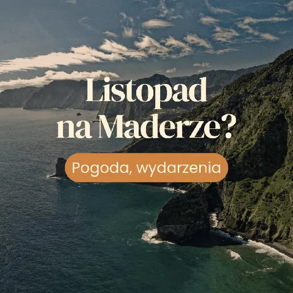 Zmiany w postrzeganiu psa