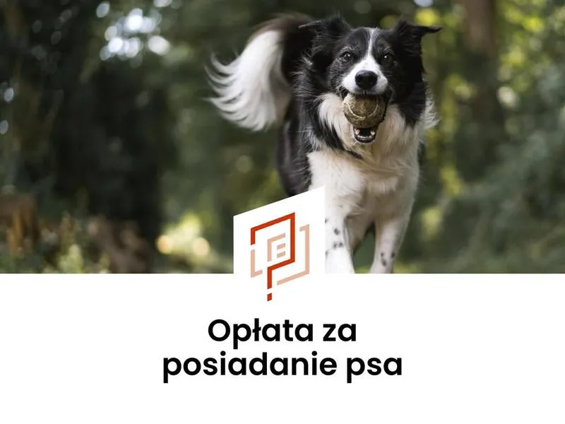Zniesienie podatku od psa