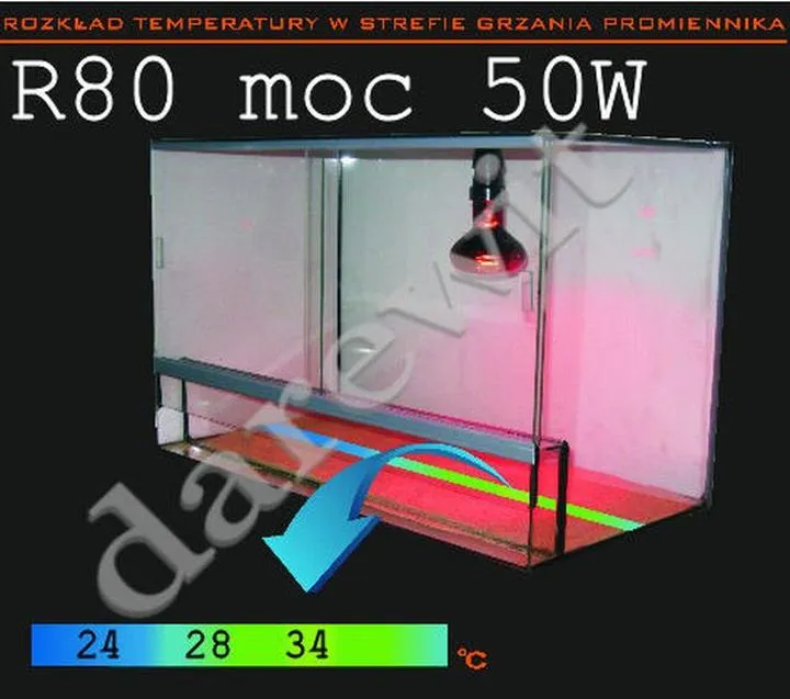 Źródła ciepła dla gadów