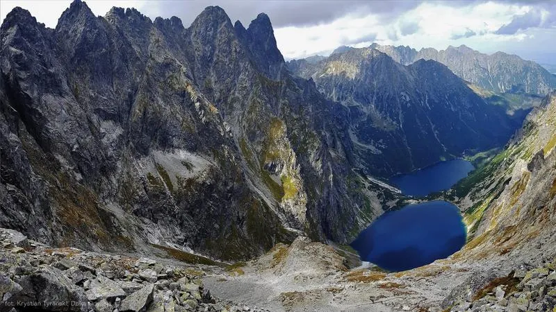 Zwierzęta Tatrzańskiego Parku Narodowego