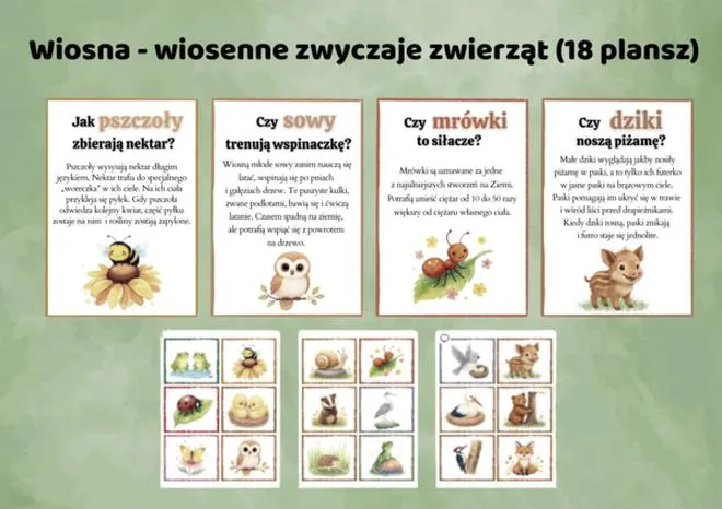 Zwyczaje zwierząt wiosną
