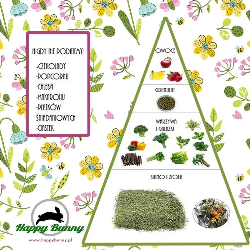 Żywienie królików na szybki wzrost